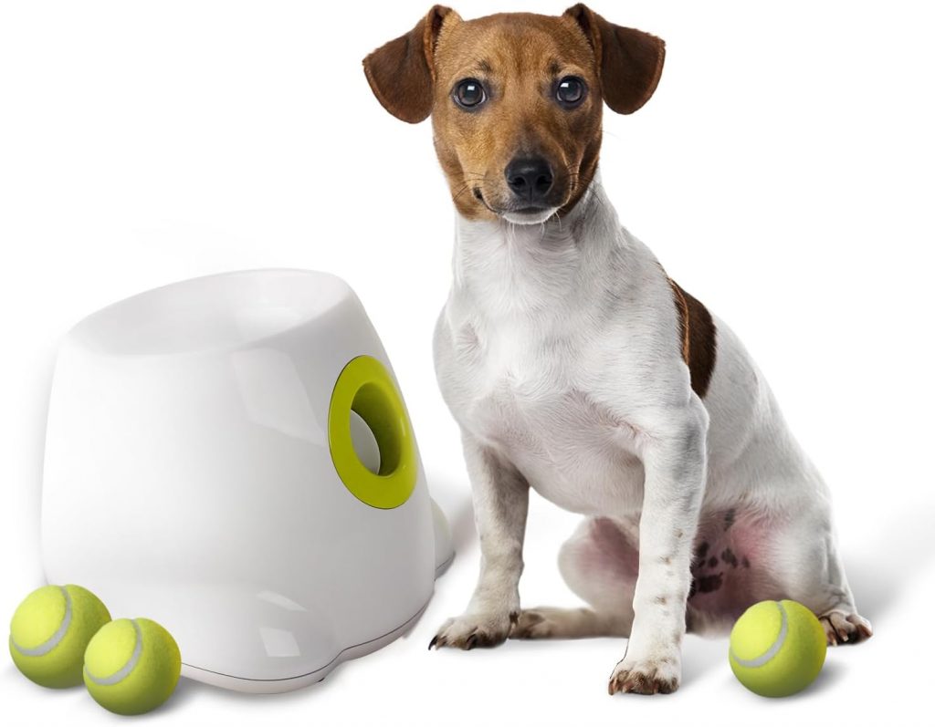 Christmas Gifts for Dogs - Automatic Ball Launcher