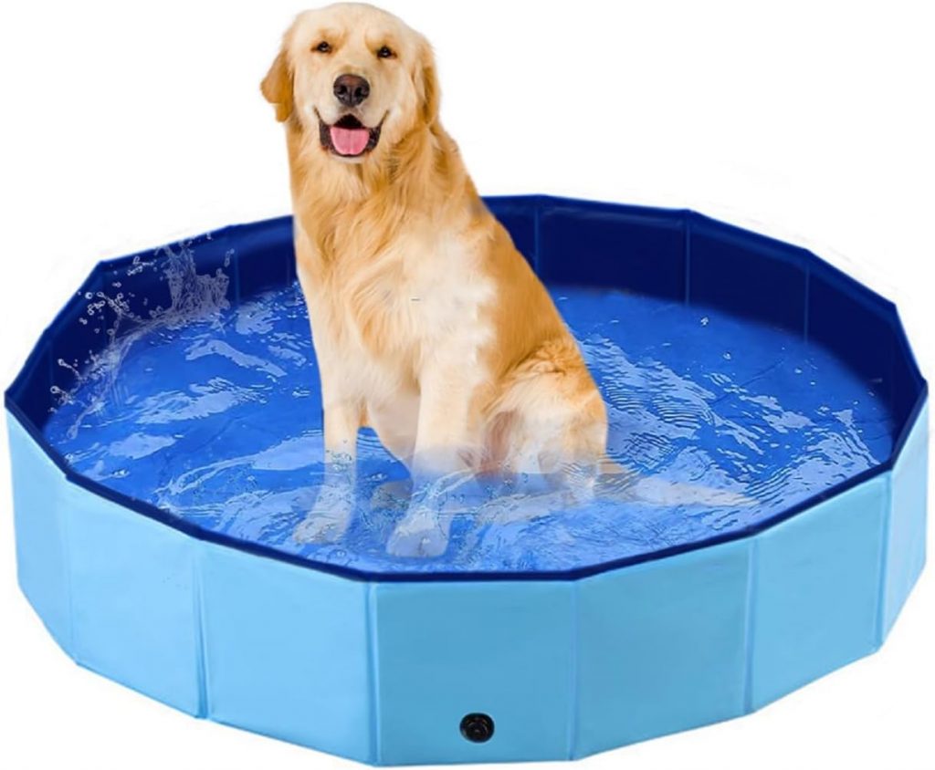 Christmas Gifts for Dogs- Dog Pool